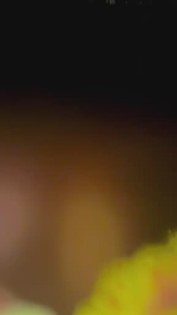 Lampe solaire décorative